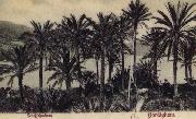Pierre Renoir View of Bordighera:the Palms Postcard oil painting picture wholesale